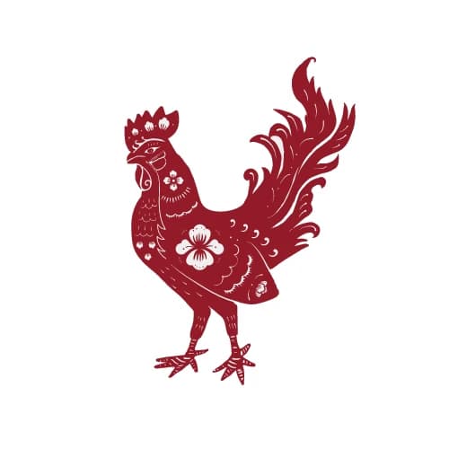 Rooster